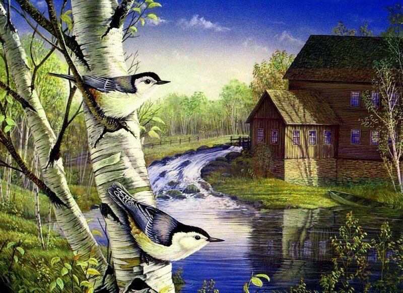 Two Birds on Birch Tree