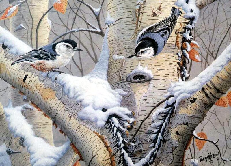 Two Birds on Birch Tree — White