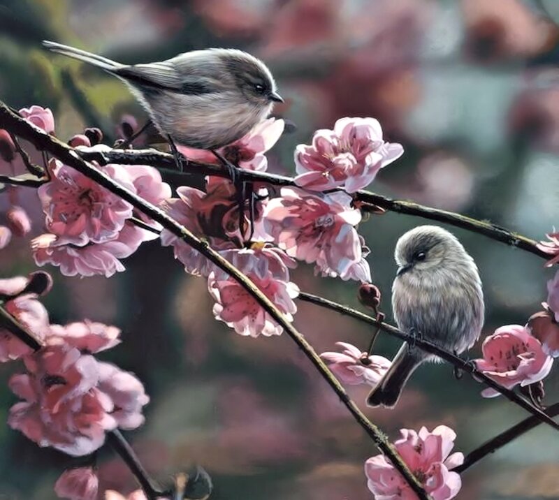 Two Birds on Blossoms — Pink, Serene, Spring, Painting