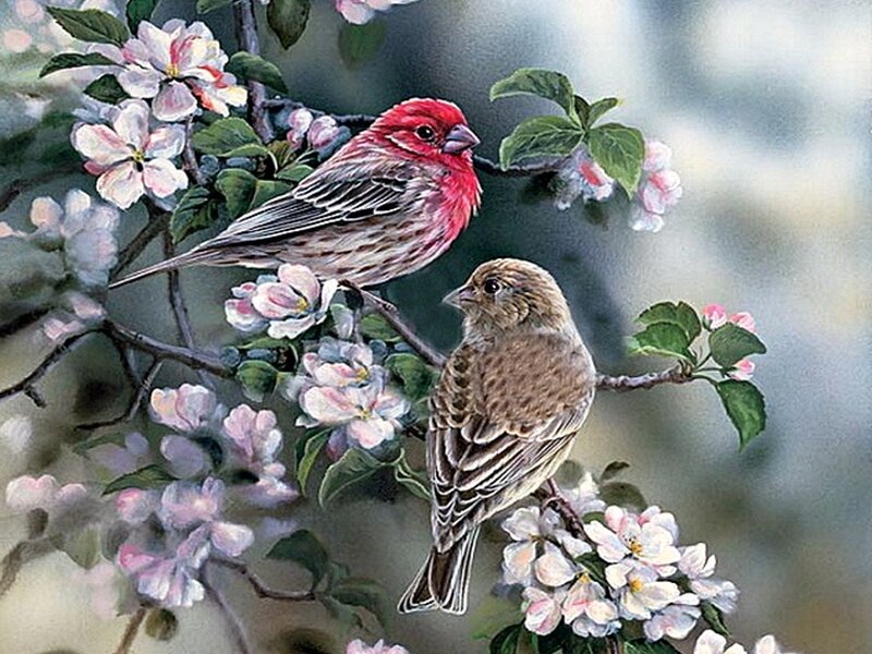 Two Birds on Blossoms — Red