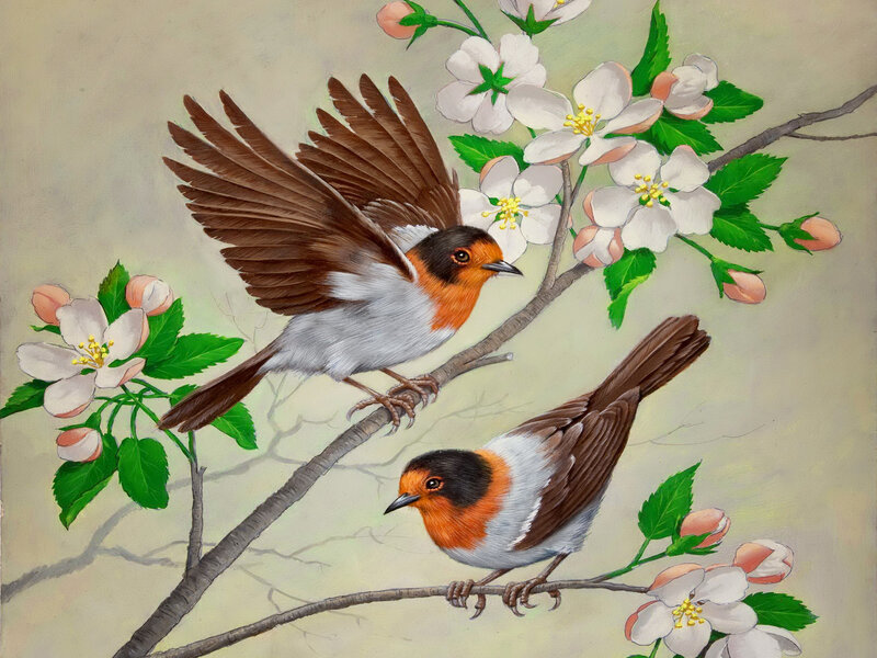 Two Birds on Blossoms — White