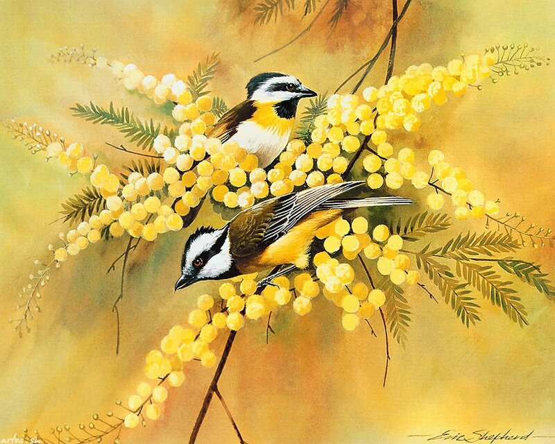 Two Birds on Blossoms — Yellow, Serene