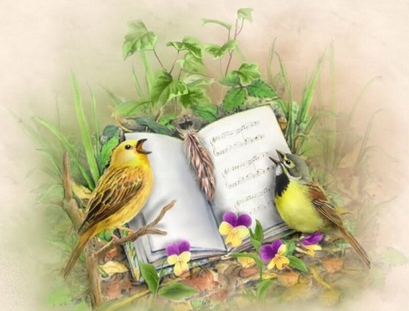 Two Birds on Book
