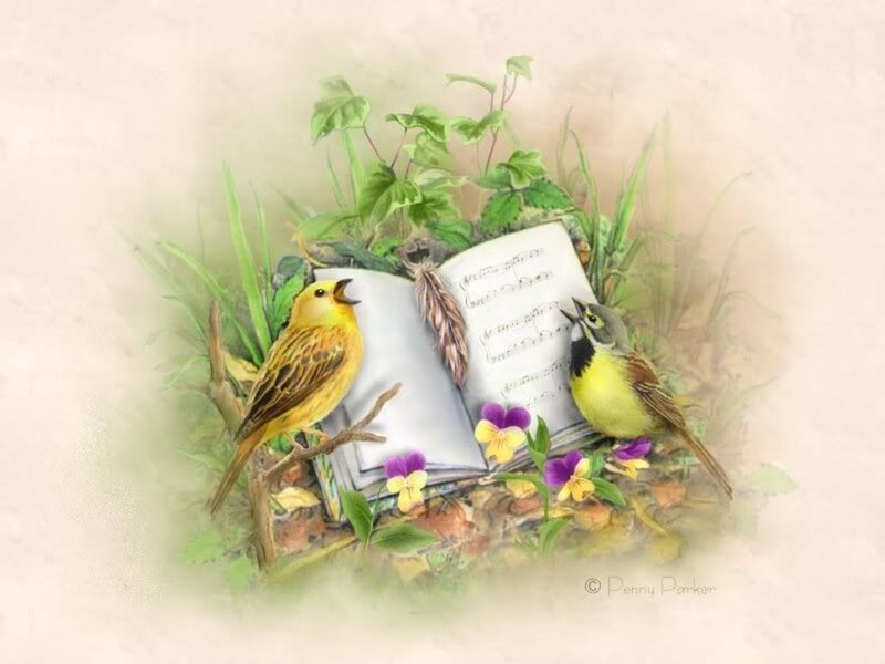Two Birds on Book — Yellow