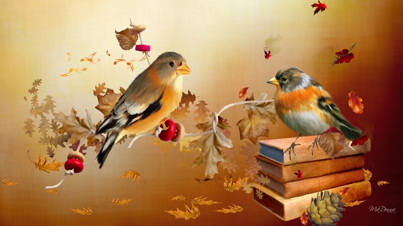 Two Birds on Books
