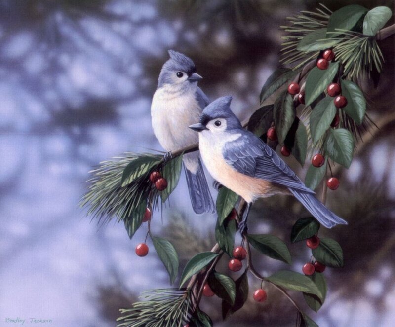 Two Birds on Branch — Blue, Serene, Winter