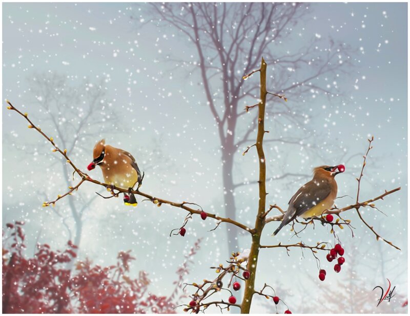 Two Birds on Branch — Brown, Serene