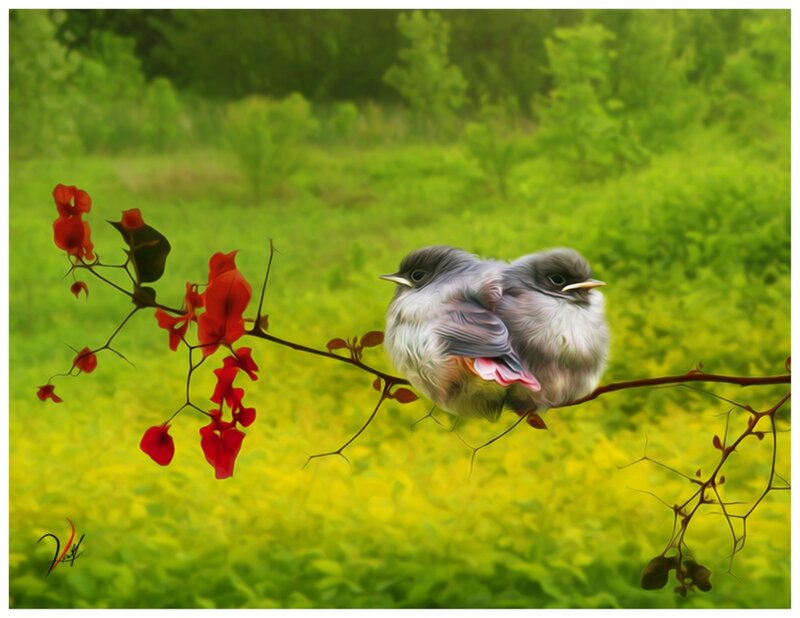 Two Birds on Branch — Green, Serene, Spring