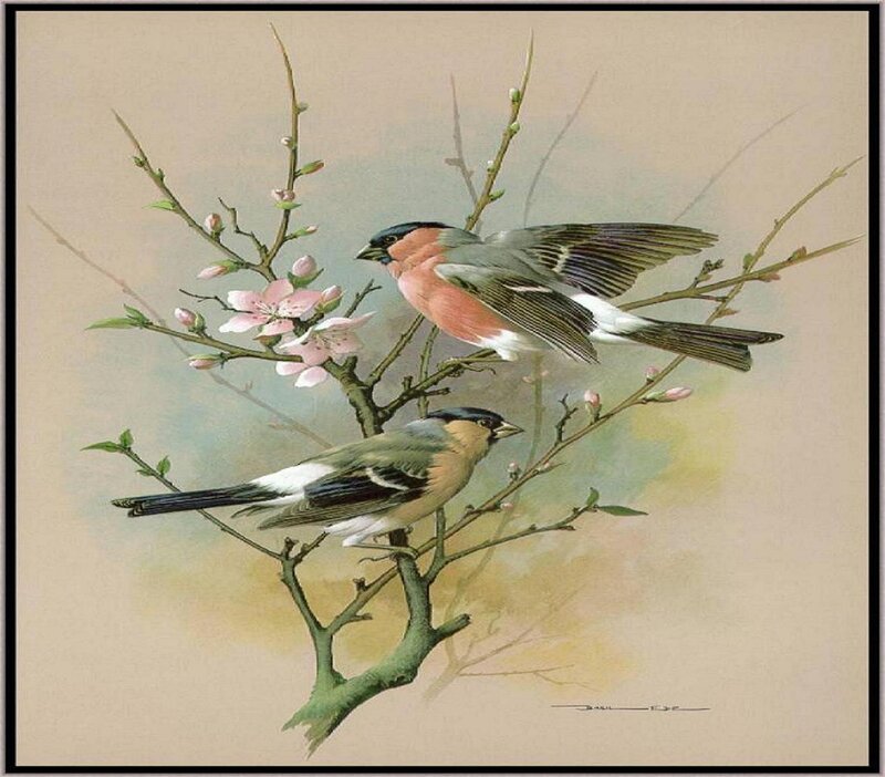 Two Birds on Branch — Green, Serene