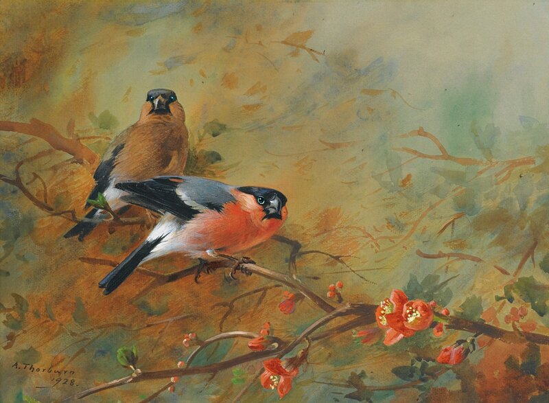 Two Birds on Branch — Orange