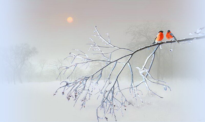 Two Birds on Branch