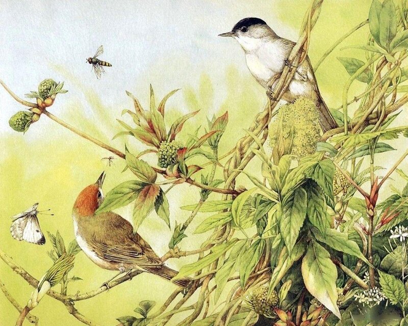 Two Birds on Branches — Green