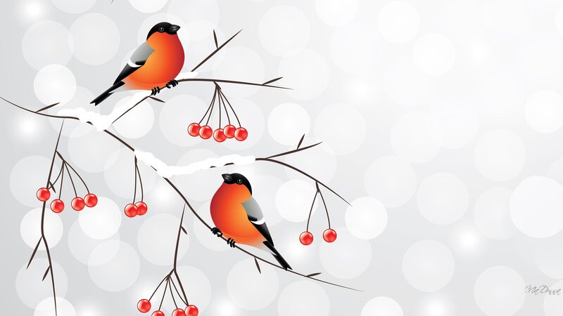Two Birds on Branches — White