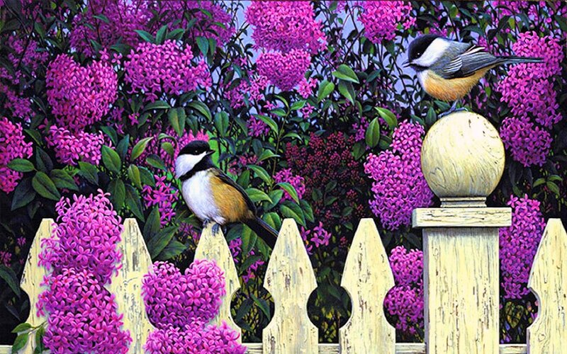 Two Birds on Fence — Purple, Serene