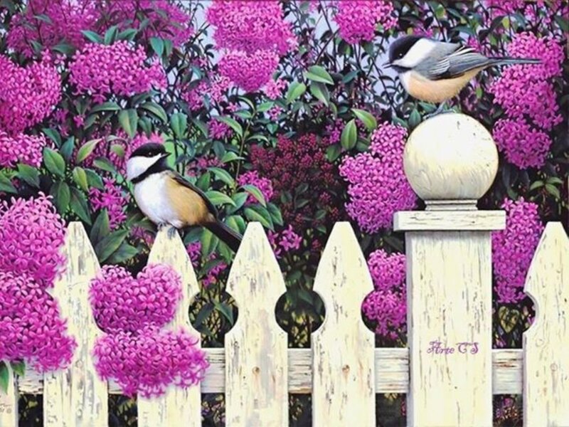 Two Birds on Fence — Purple