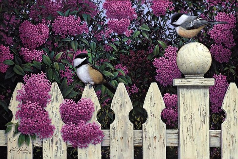 Two Birds on Fence