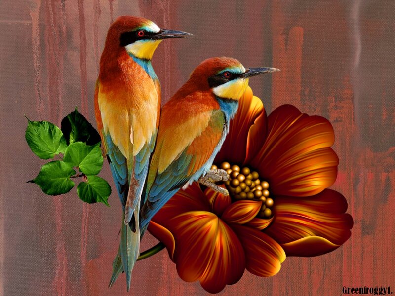 Two Birds on Flower — Red, Vibrant