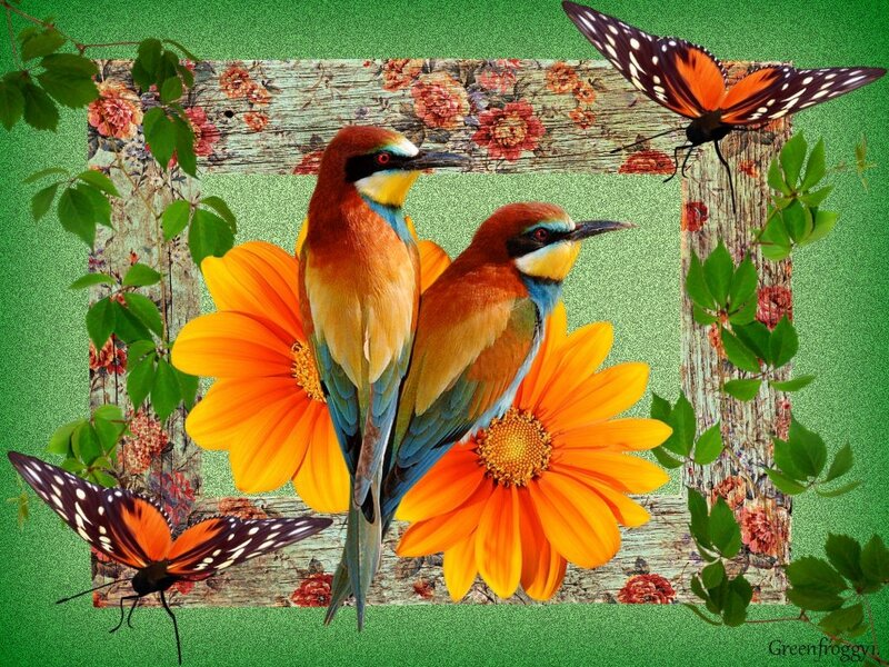 Two Birds on Flowers — Green, Serene