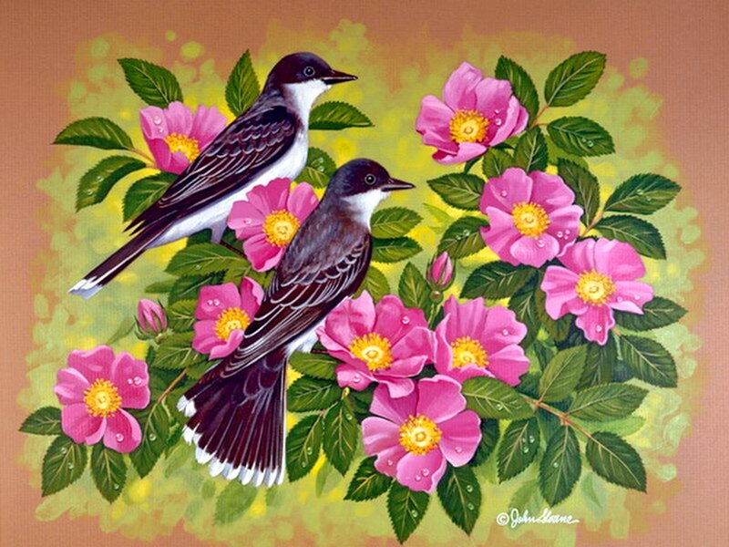 Two Birds on Flowers — Pink