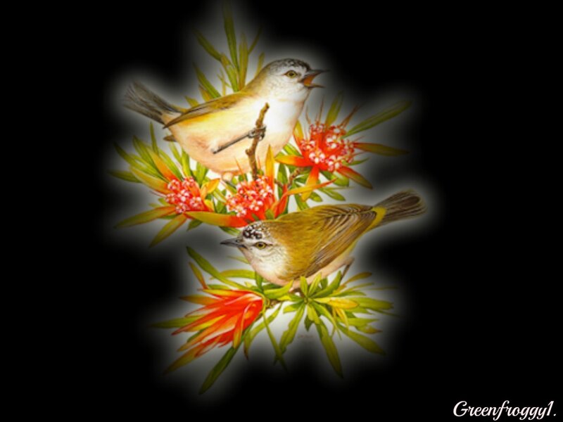 Two Birds on Flowers — Red, Serene, Illustration