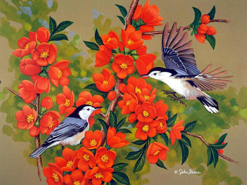 Two Birds on Flowers — Red, Serene