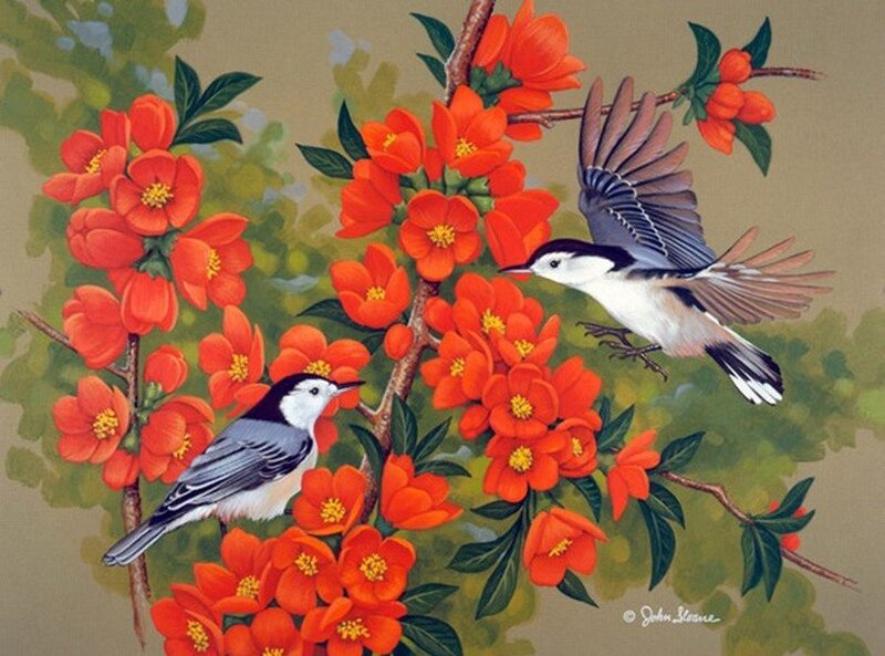 Two Birds on Flowers