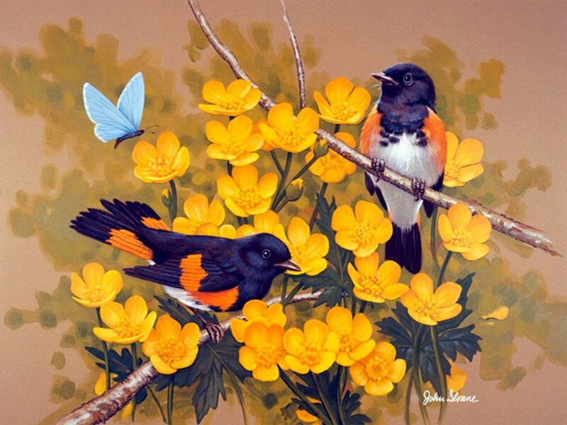 Two Birds on Flowers — Yellow, Serene, Spring