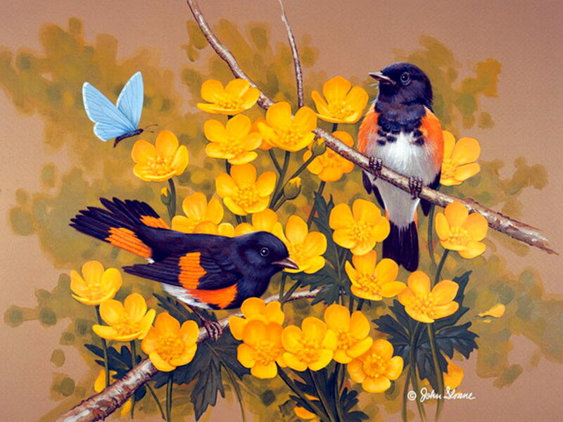 Two Birds on Flowers — Yellow