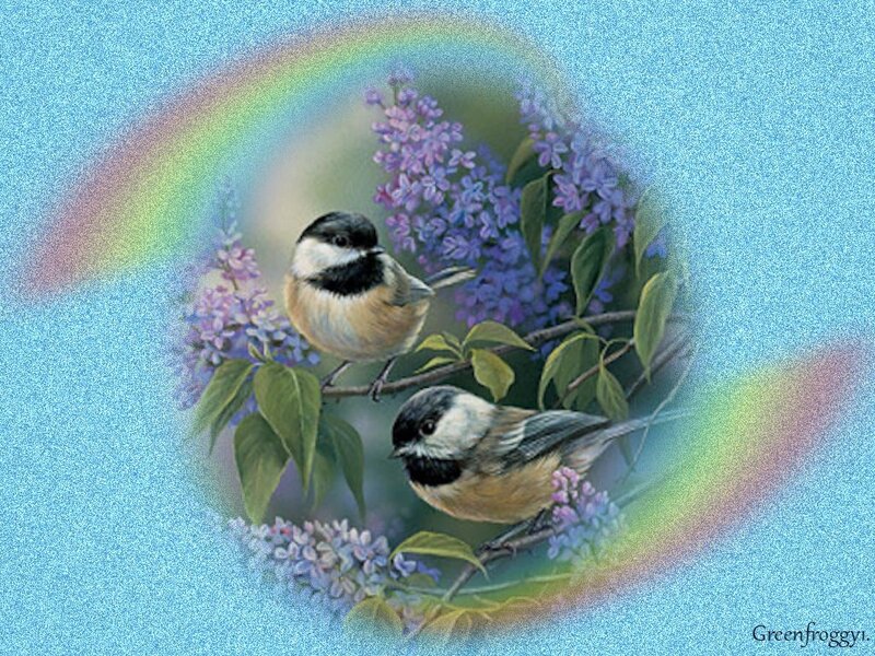 Two Birds on Lilac Branch — Blue