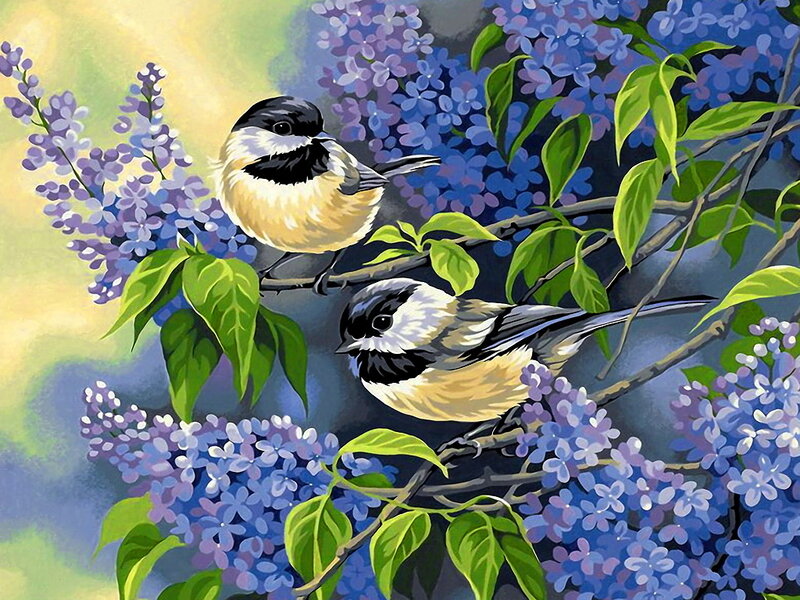 Two Birds on Lilac Branch