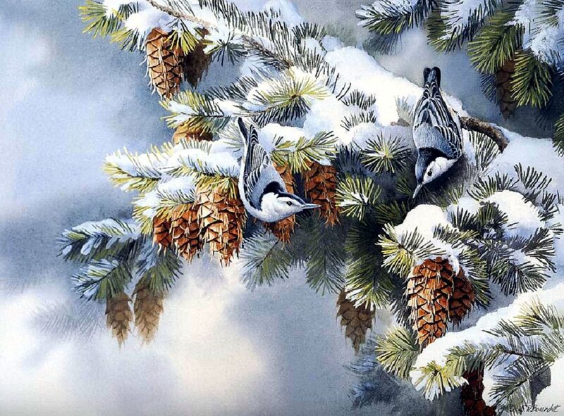 Two Birds on Pine Branch — White