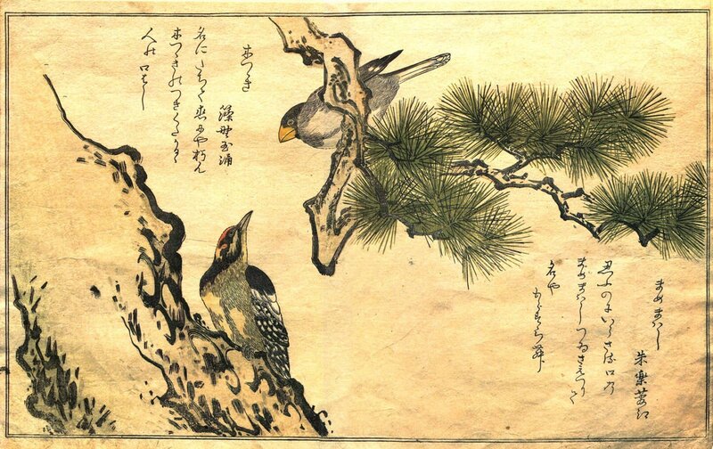 Two Birds on Pine Tree