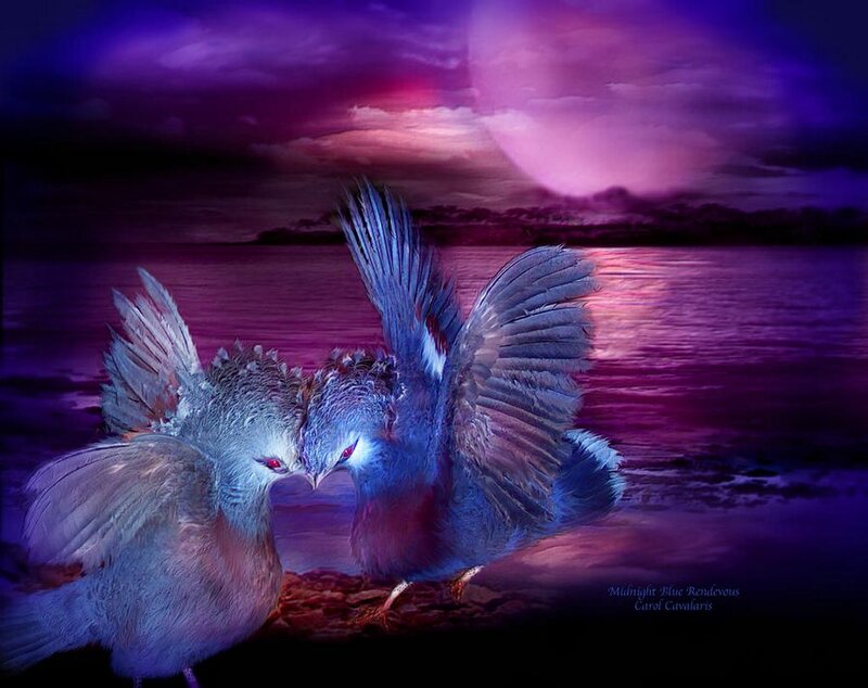 Two Birds on Shore