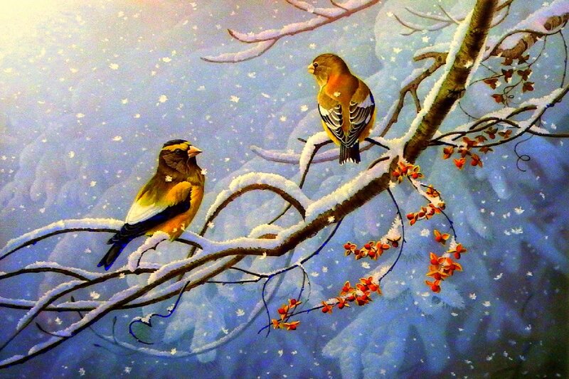 Two Birds on Snowy Branch — Blue