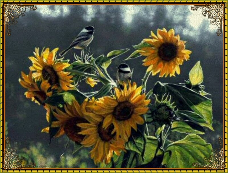 Two Birds on Sunflowers