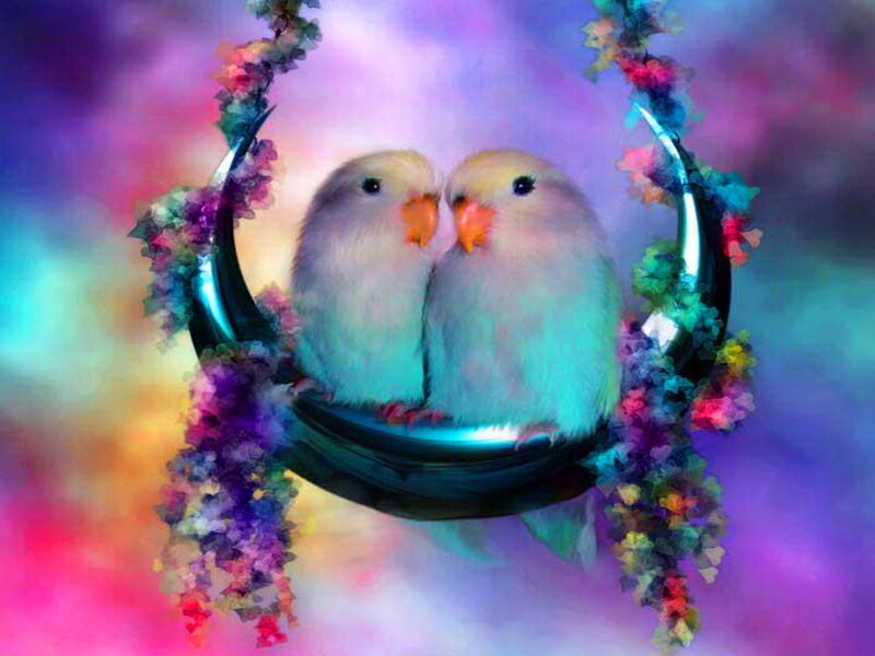 Two Birds on Swing