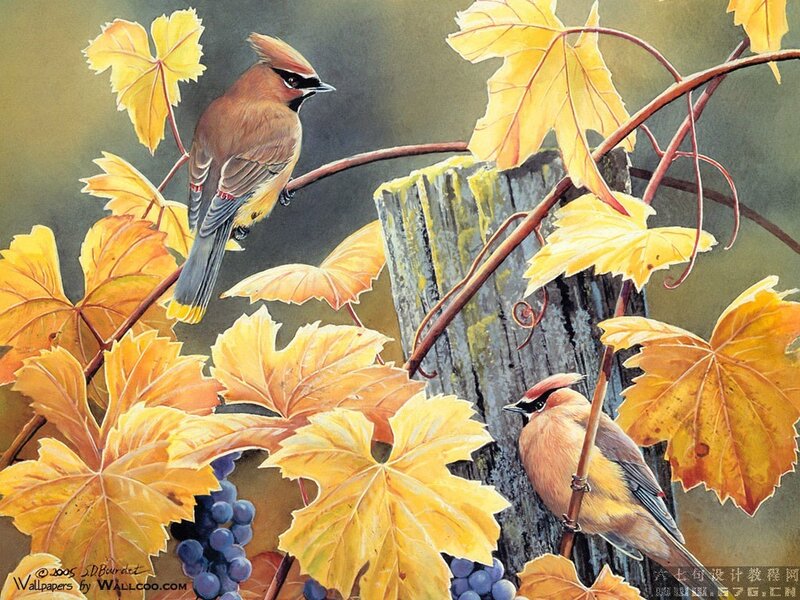 Two Birds on Vines