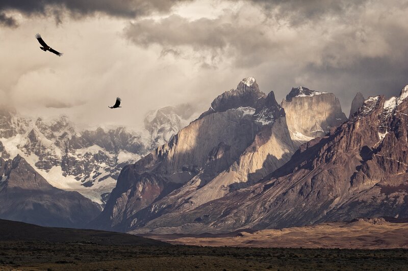 Two Birds over Mountains