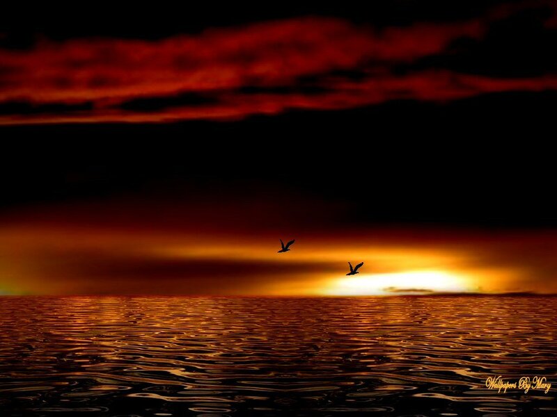 Two Birds over Ocean