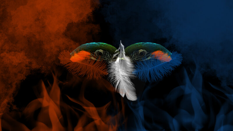 Two Birds with Feathers
