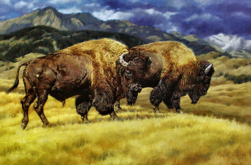 Two Bison in Field — Yellow