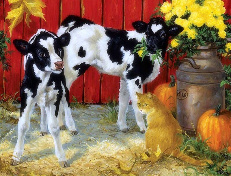 Two Black-and-white Calves — Red