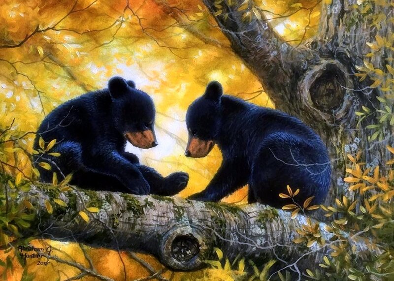 Two Black Bear Cubs — Yellow