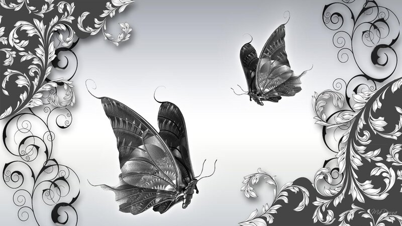 Two Black Butterflies — Elegant