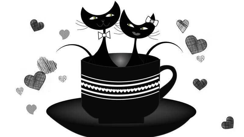 Two Black Cats in Cup