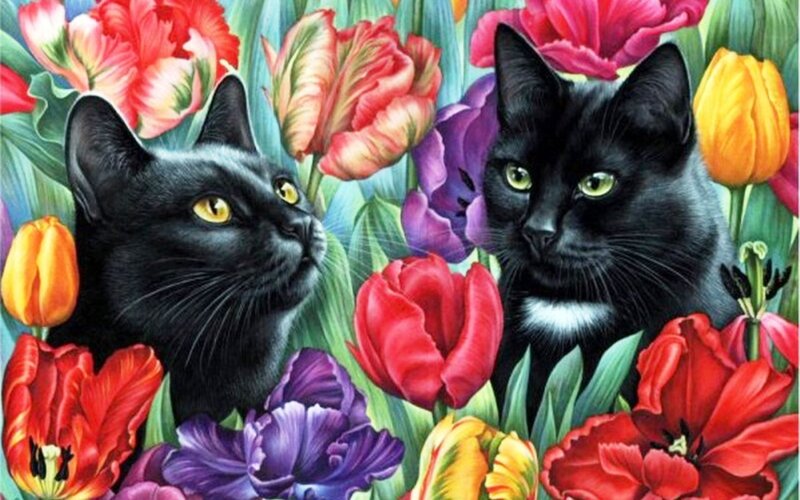 Two Black Cats in Flowers — Calm