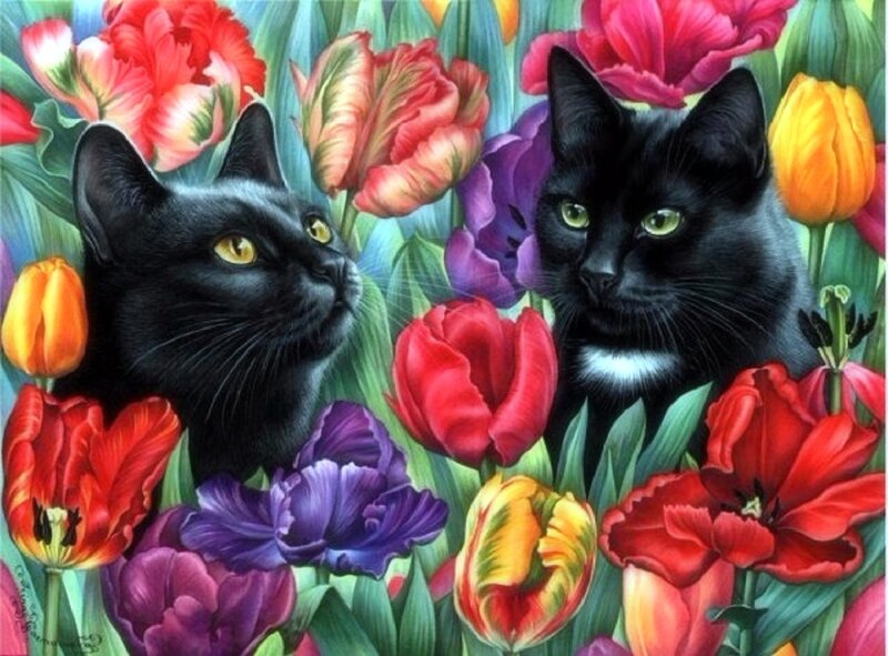 Two Black Cats in Flowers — Colorful