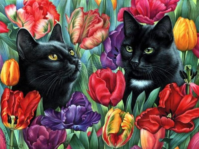 Two Black Cats in Flowers