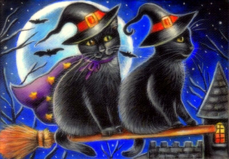 Two Black Cats on Broom