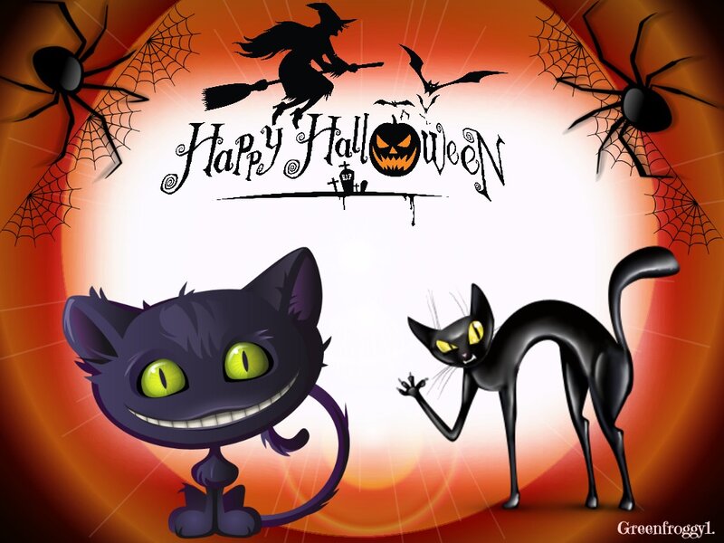 Two Black Cats — Orange